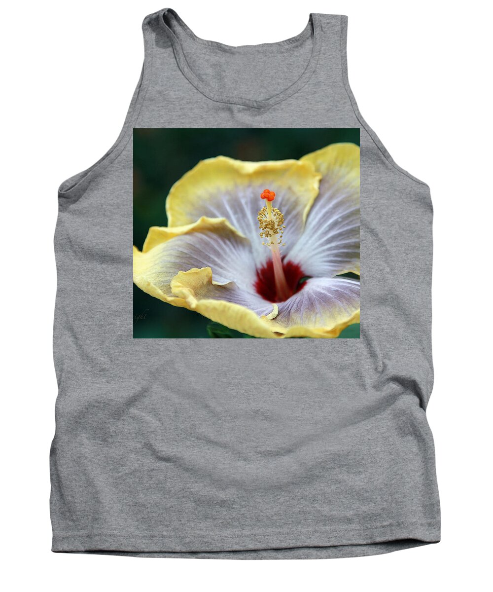 Hibiscus Flower Tank Top featuring the photograph White Hibiscus by Yvonne Wright