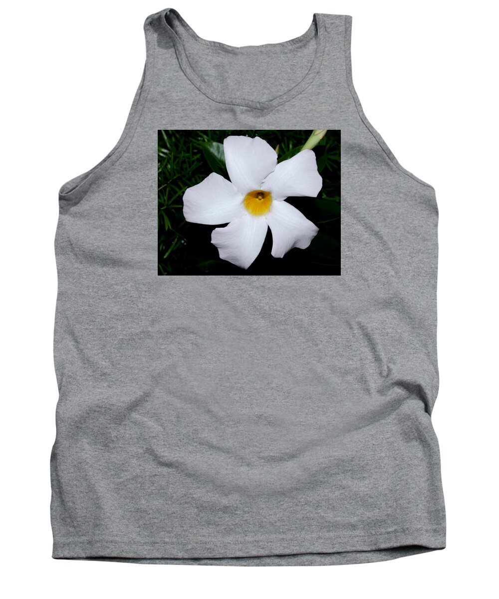 Nature Tank Top featuring the photograph White Mandevilla by Robert Morin