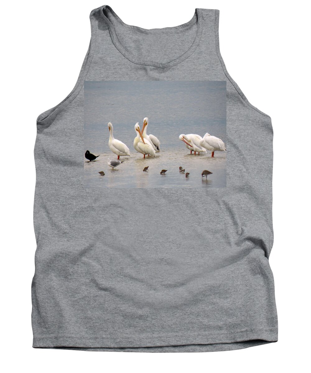 Pelicans Tank Top featuring the photograph White Pelicans and Friends by Rosalie Scanlon