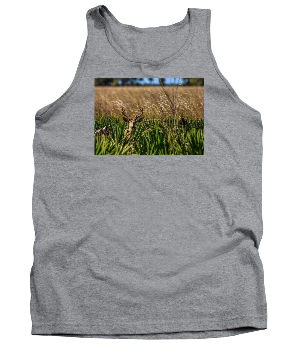 White Tail Tank Top featuring the photograph Whitetail by Christopher Perez