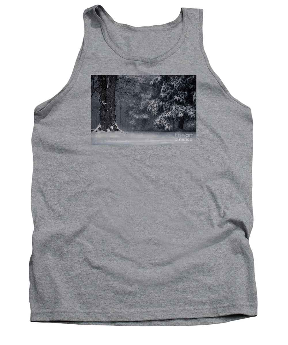 Whose Woods Are These I Think I Know Tank Top featuring the photograph Whose Woods These Are I Think I Know by William Fields