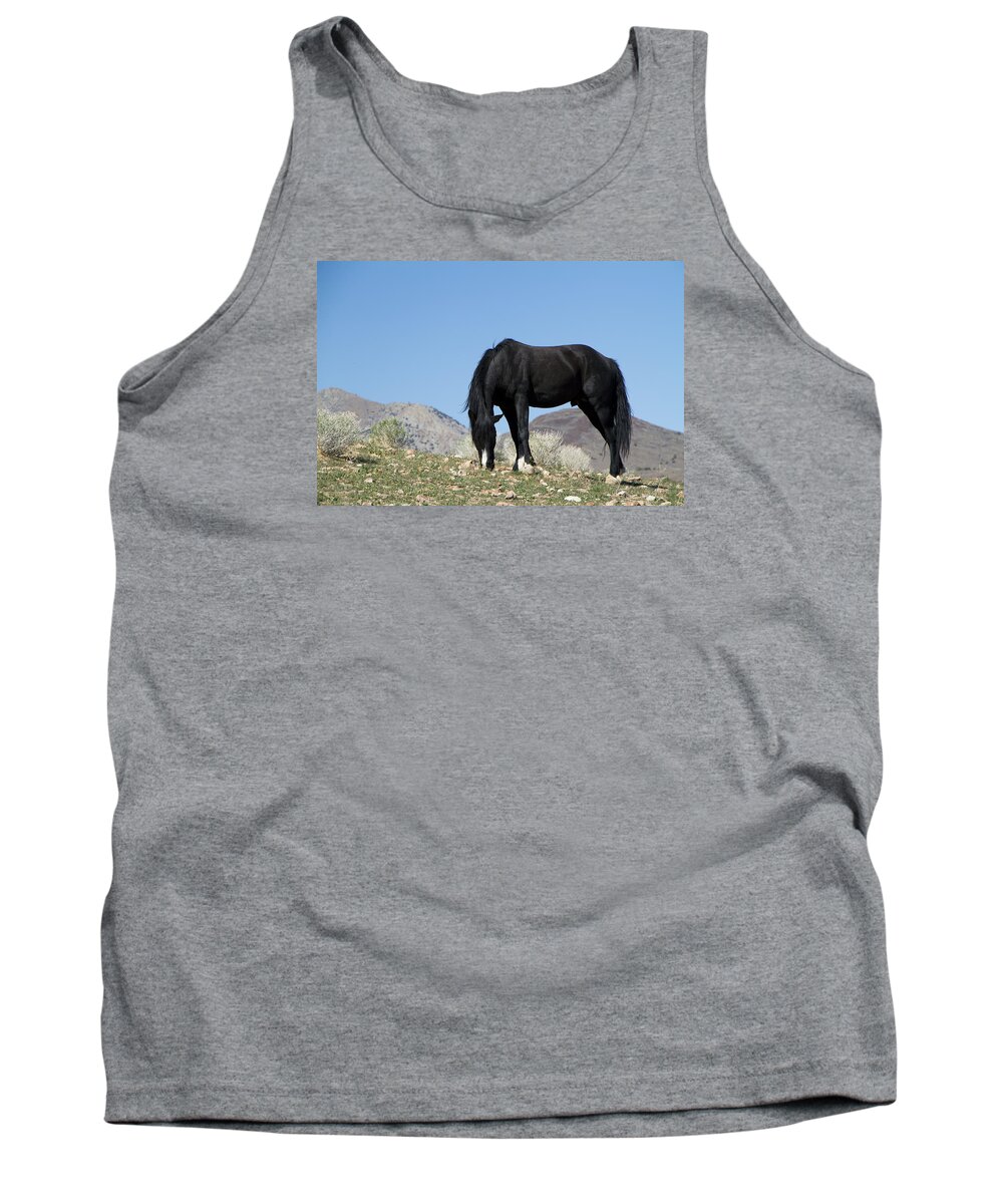 Horses Tank Top featuring the photograph Wild Black Stallion Horse by Waterdancer