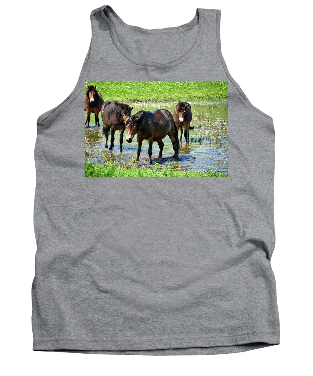 Nature Tank Top featuring the photograph Wild Horses 4 by Ingrid Dendievel
