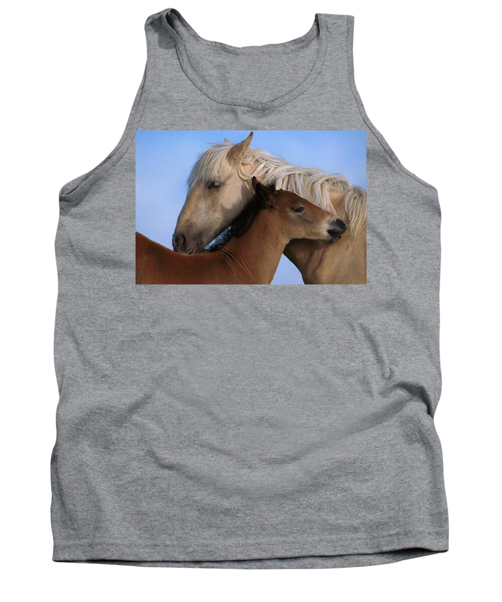 00340033 Tank Top featuring the photograph Wild Mustang Filly and Foal by Yva Momatiuk and John Eastcott