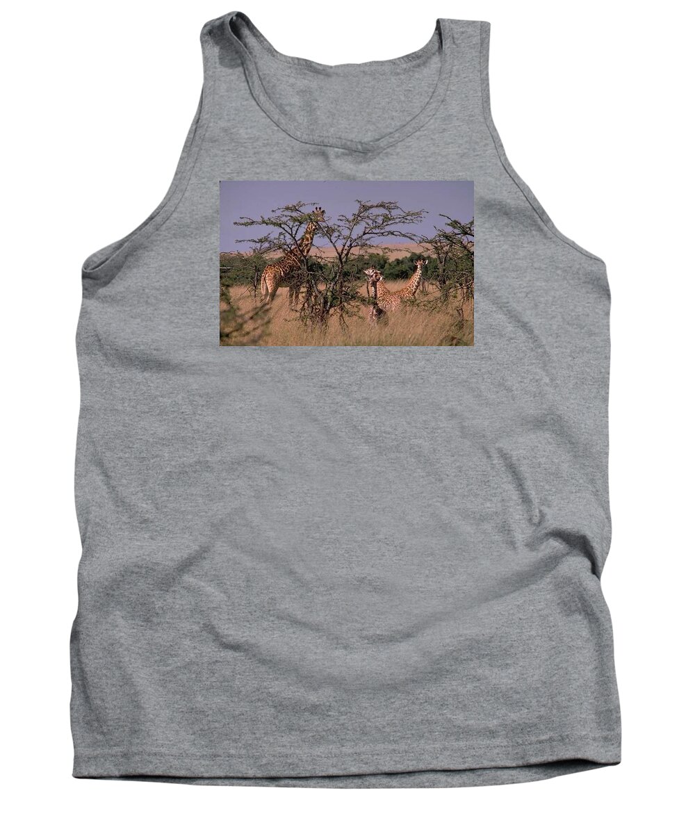 Giraffe Tank Top featuring the photograph Wilderness in Africa by Mary Ann Mackay