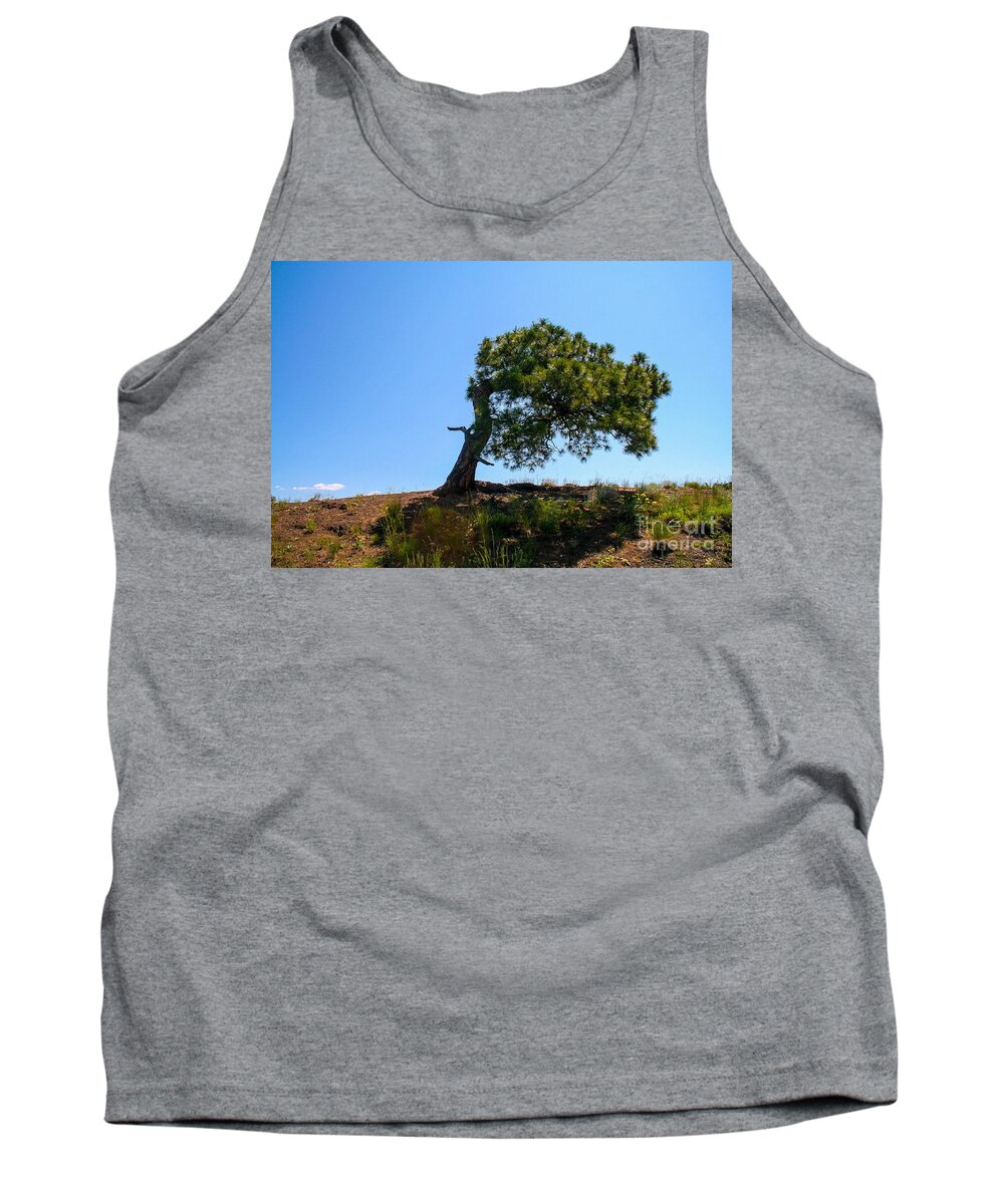 Tree Tank Top featuring the photograph Wind Bent Tree by SnapHound Photography