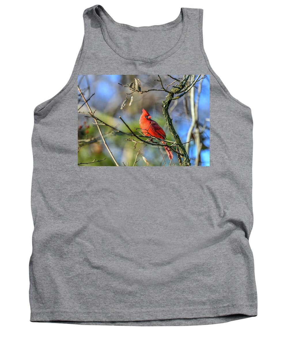 Animals Tank Top featuring the photograph Winter Cardinal by Patrick Wolf