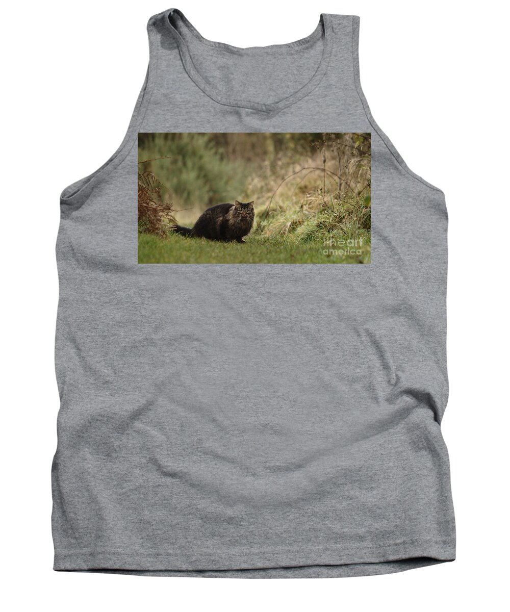 Cat Tank Top featuring the photograph Winter Prowl by Adrian Wale