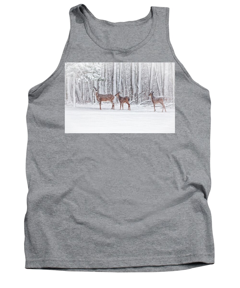 Deer Tank Top featuring the photograph Winter Visits by Karol Livote