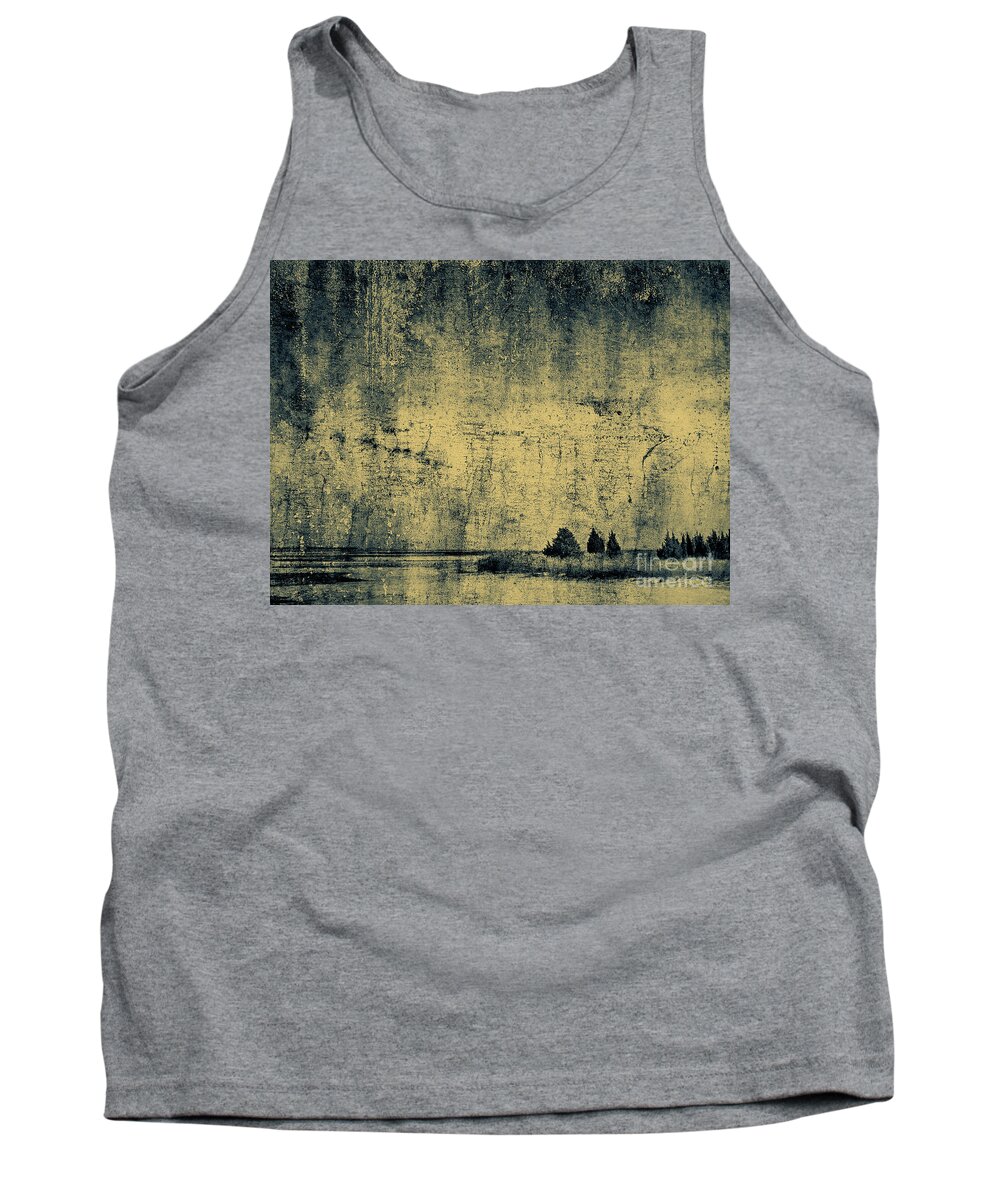 Texture Tank Top featuring the photograph Winters Silence by Dana DiPasquale