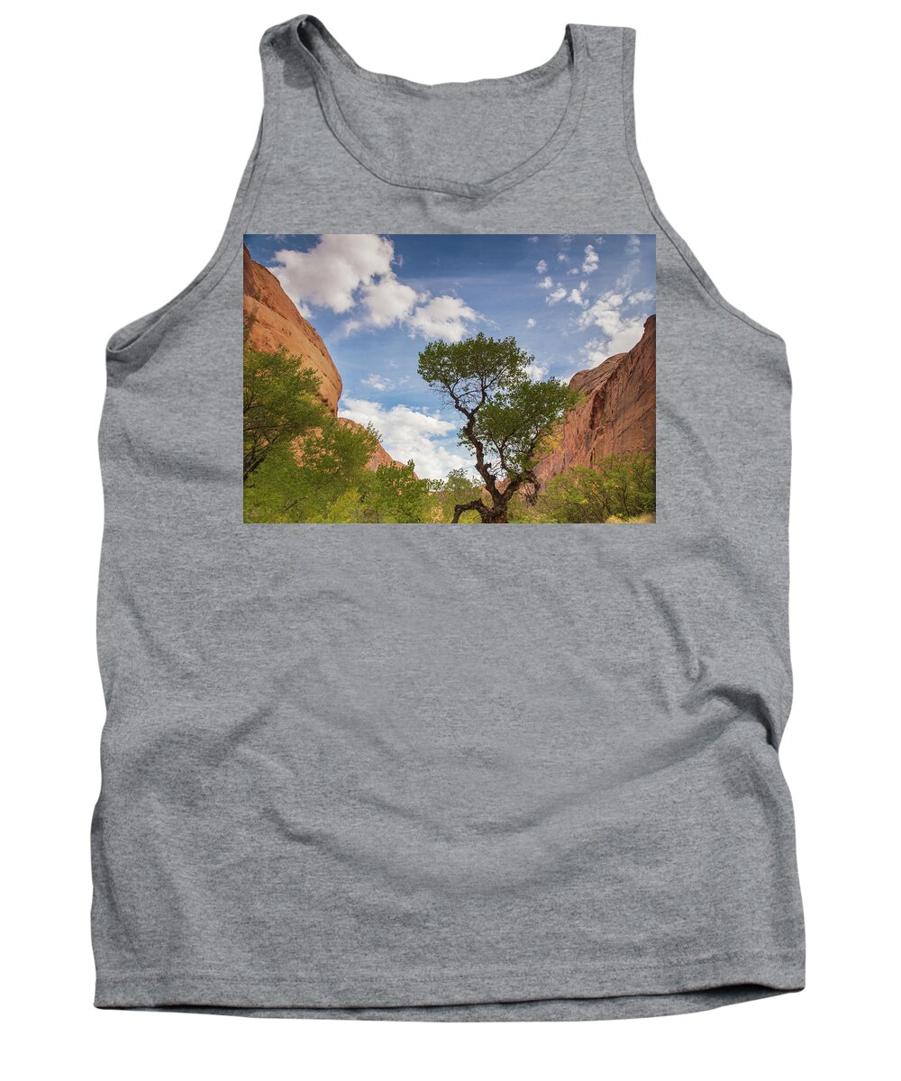 Coyote Gulch Tank Top featuring the photograph Wonderful tonight by Kunal Mehra