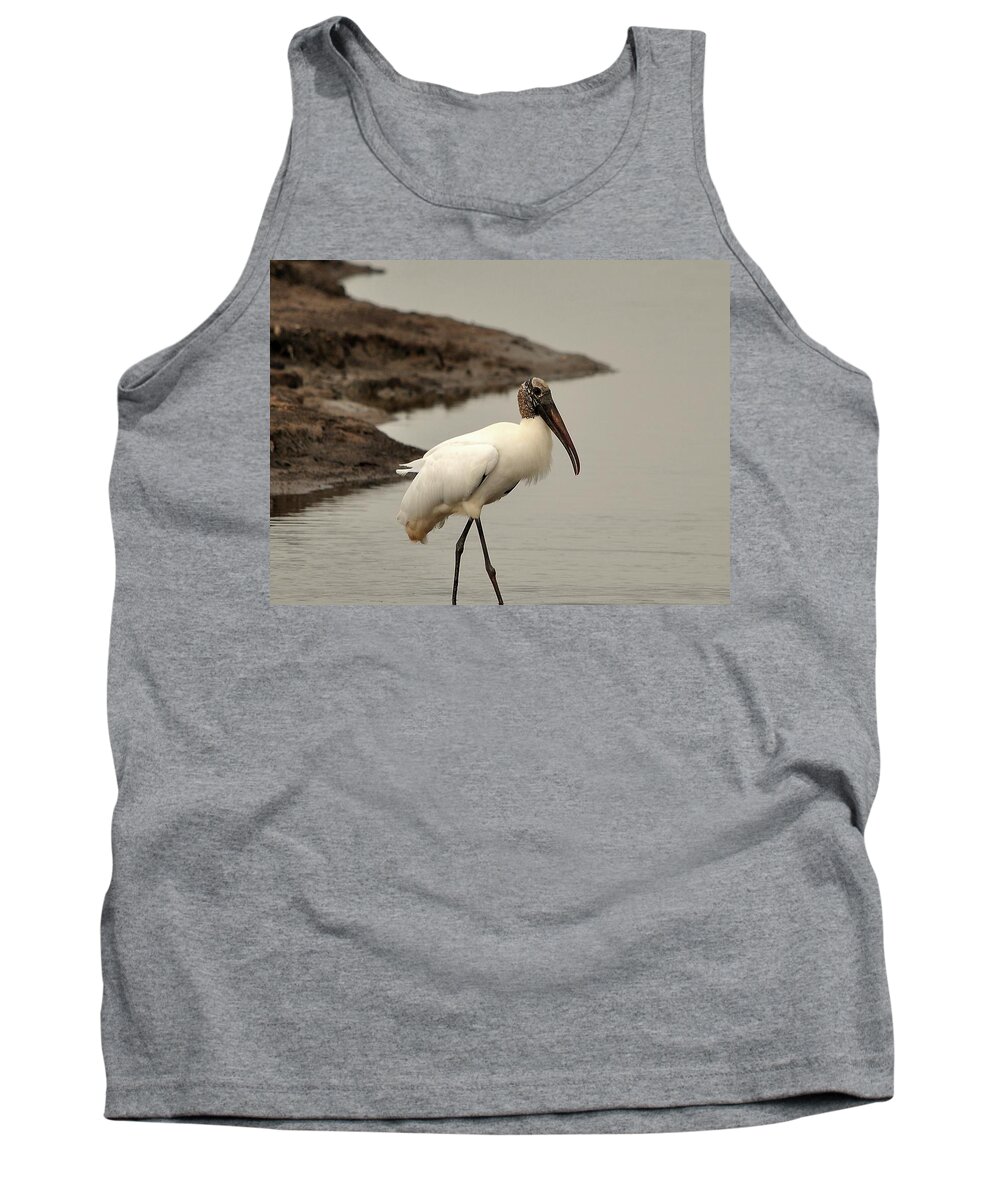 Wood Stork Tank Top featuring the photograph Wood Stork Walking by Al Powell Photography USA