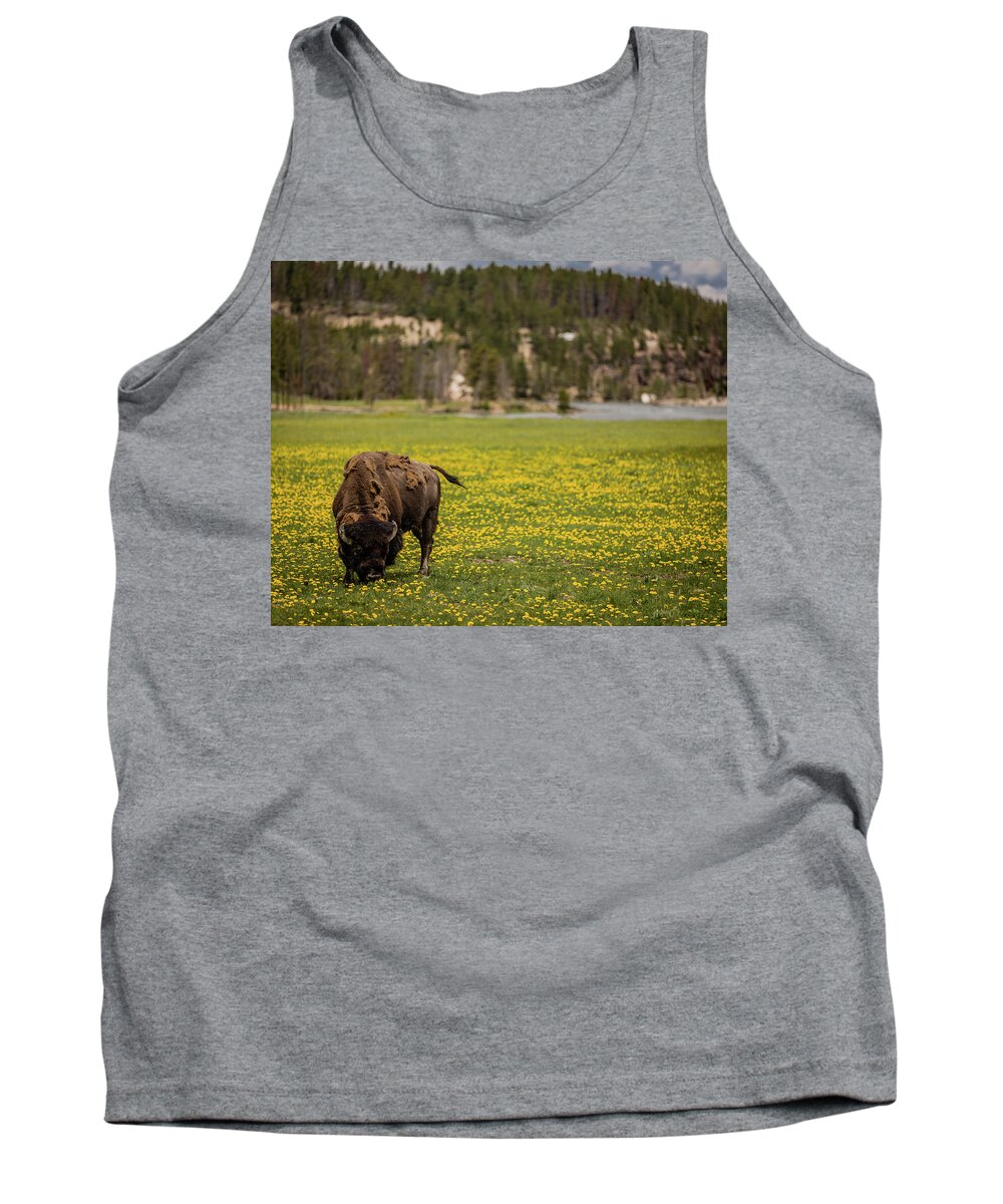 Scenic Tank Top featuring the photograph Wyoming Wild by Gary Migues