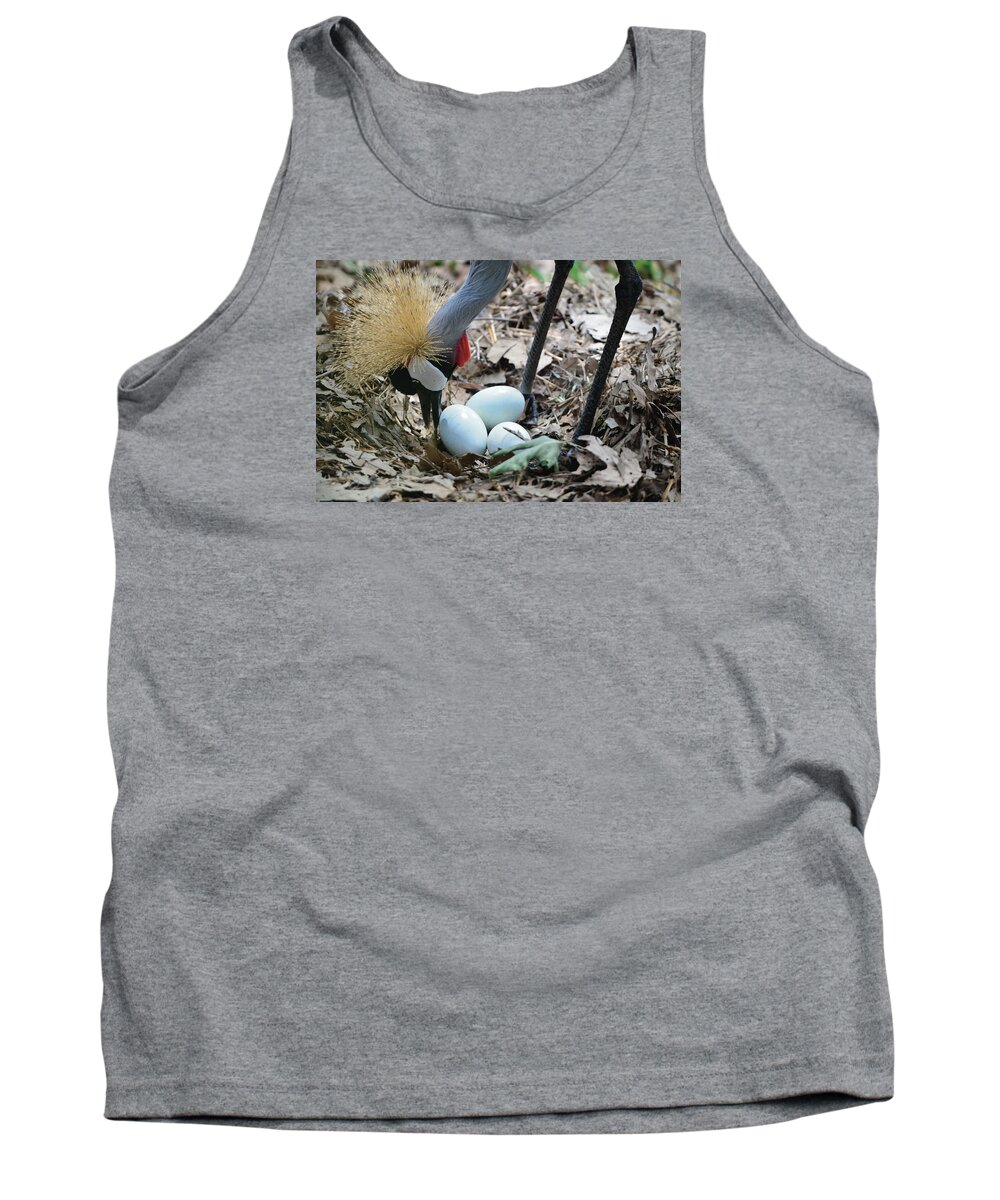 Crane Tank Top featuring the photograph Yellow Crowned Crane Tending To Her Eggs by William Bitman
