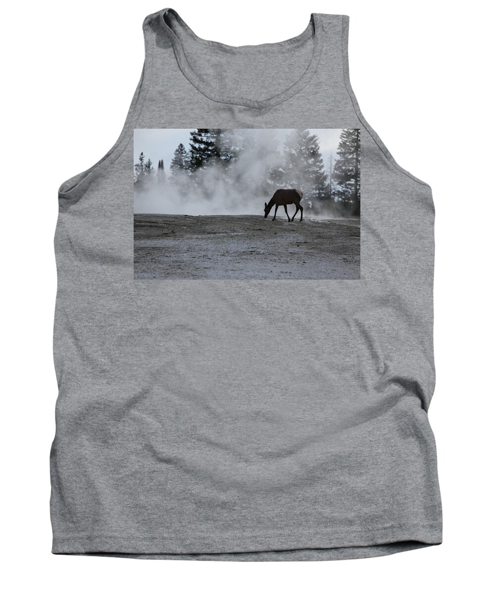Yellowstone National Park Tank Top featuring the photograph Yellowstone 5456 by Michael Fryd