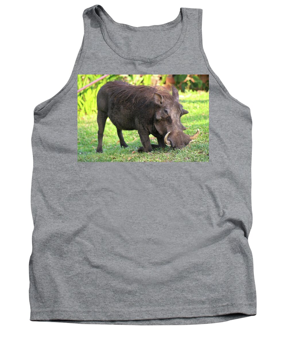  Tank Top featuring the photograph 1 by Eric Pengelly