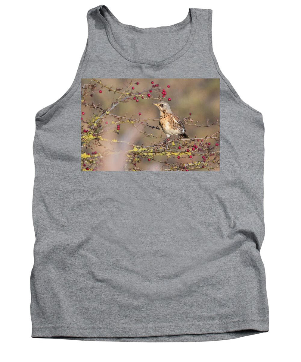 Flyladyphotographybywendycooper Tank Top featuring the photograph Fieldfare #2 by Wendy Cooper