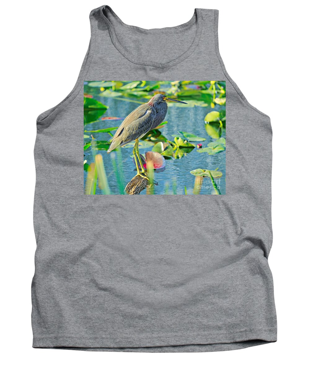 Birds Tank Top featuring the photograph In Balance #2 by Judy Kay
