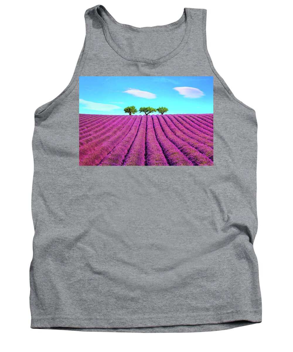 Lavender Tank Top featuring the photograph Lavender and trees on the top of the hill. Provence, France by Stefano Orazzini
