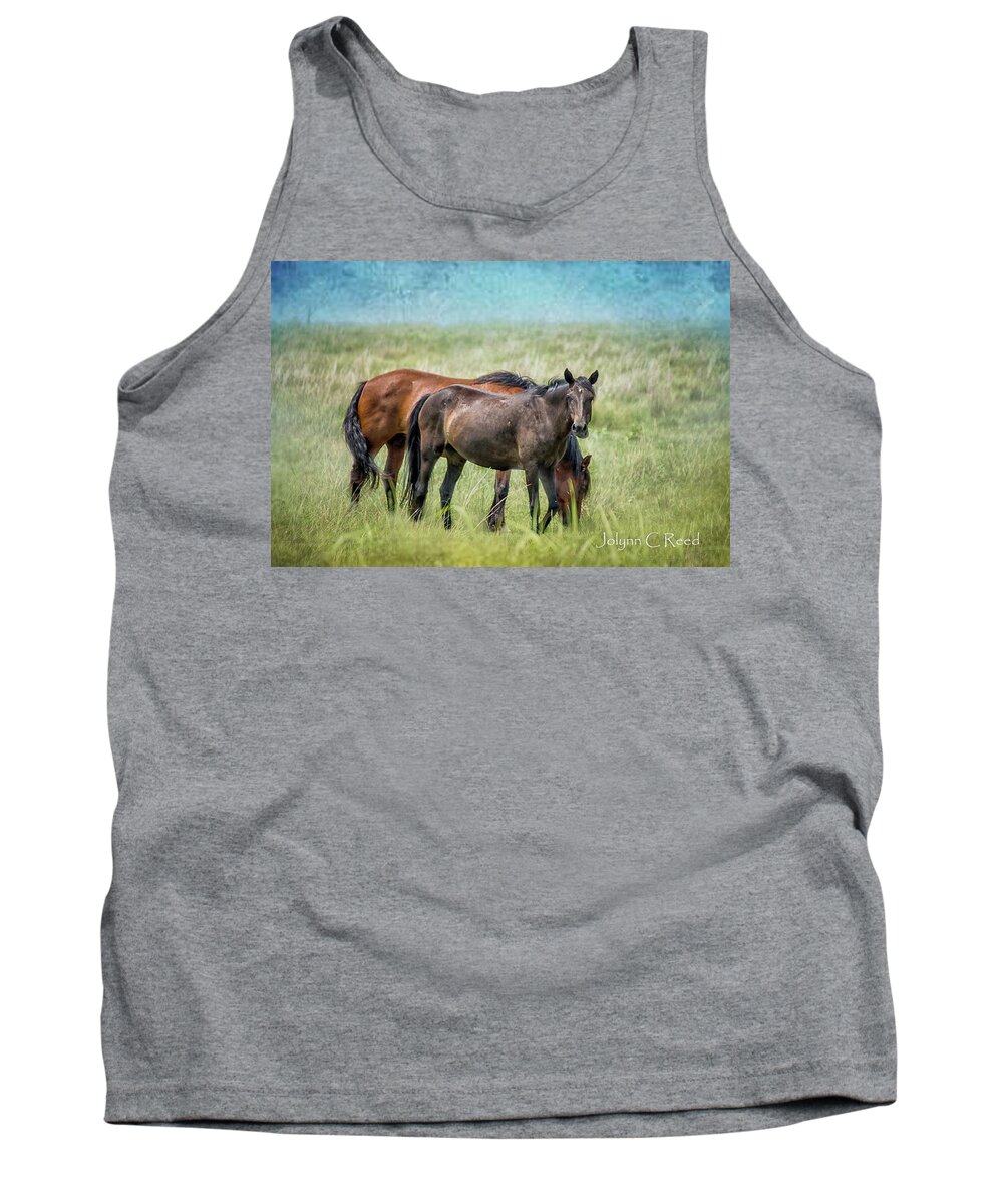  Tank Top featuring the photograph Osage Horses #2 by Jolynn Reed