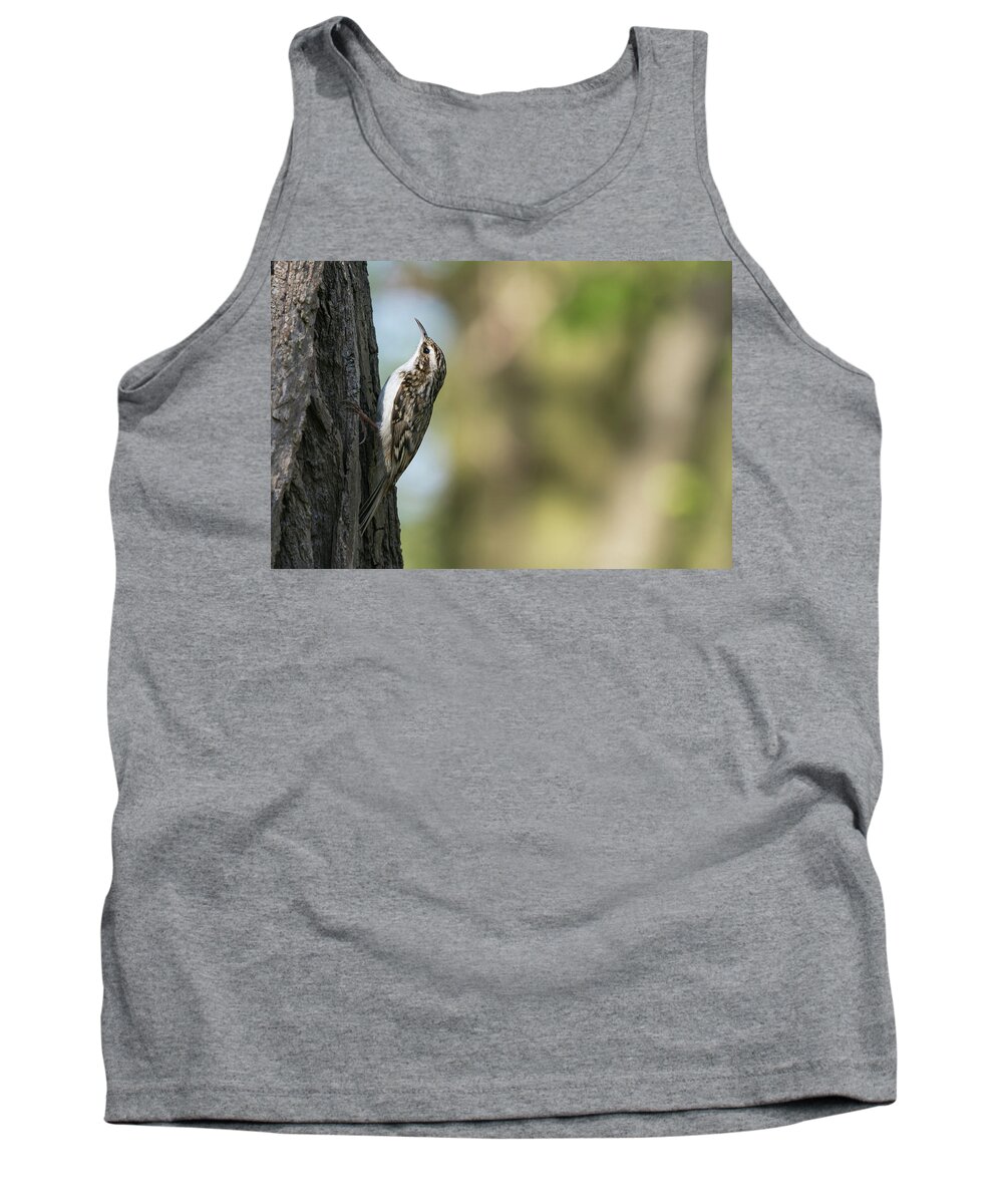 Photography Tank Top featuring the photograph Treecreeper #2 by Wendy Cooper