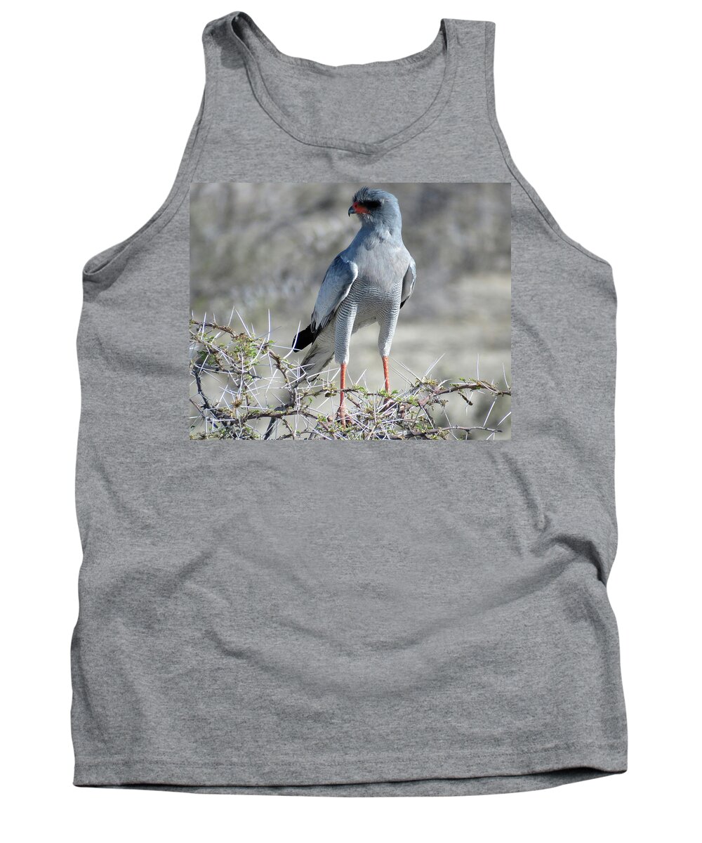 Africa Tank Top featuring the photograph Bird #2 by Eric Pengelly