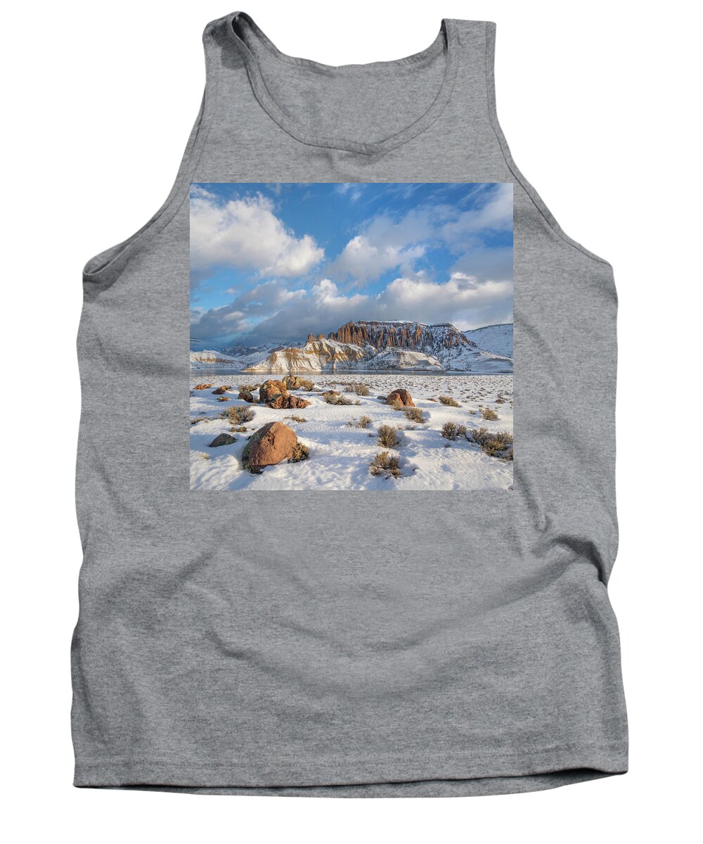 00567558 Tank Top featuring the photograph Dillon Pinnacles In Winter, Curecanti National Recreation Area, Colorado #2 by Tim Fitzharris