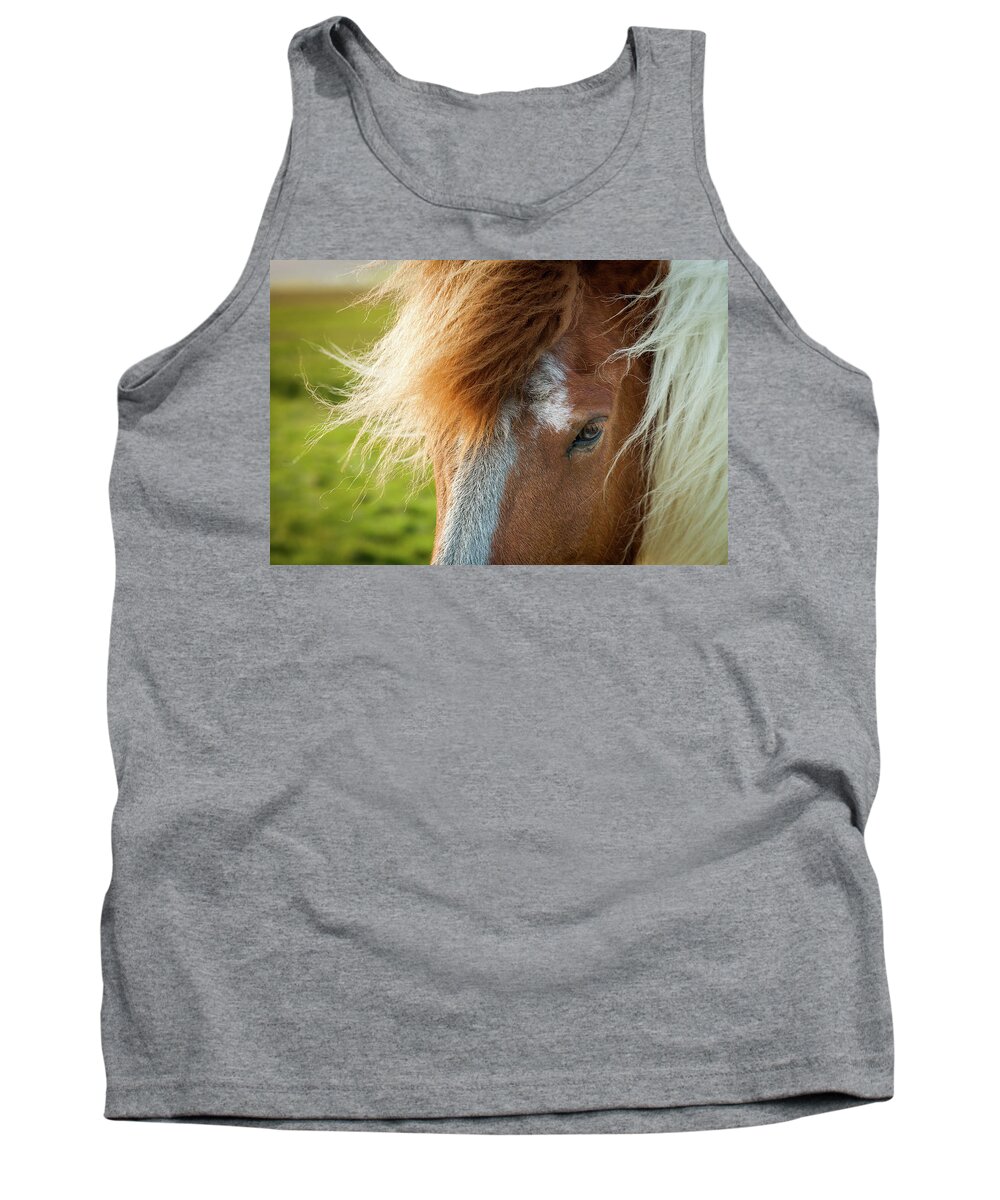 Iceland Tank Top featuring the photograph Icelandic Horse #3 by Peter OReilly