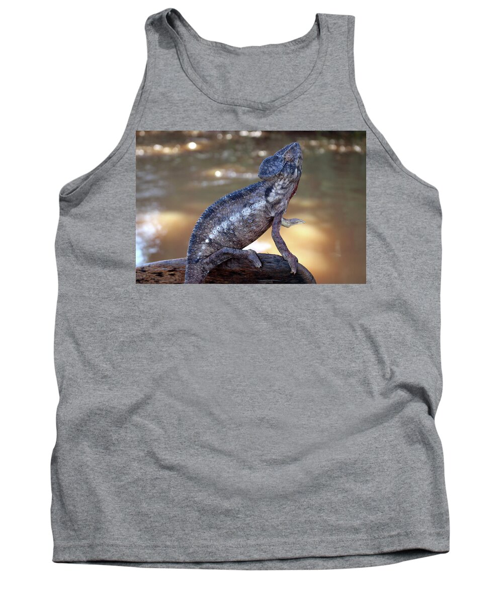  Tank Top featuring the photograph 7 by Eric Pengelly
