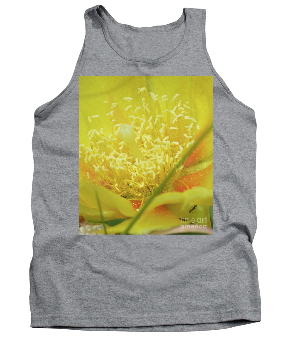 Cactus Tank Top featuring the photograph Ant on Cactus Flower I by Aicy Karbstein