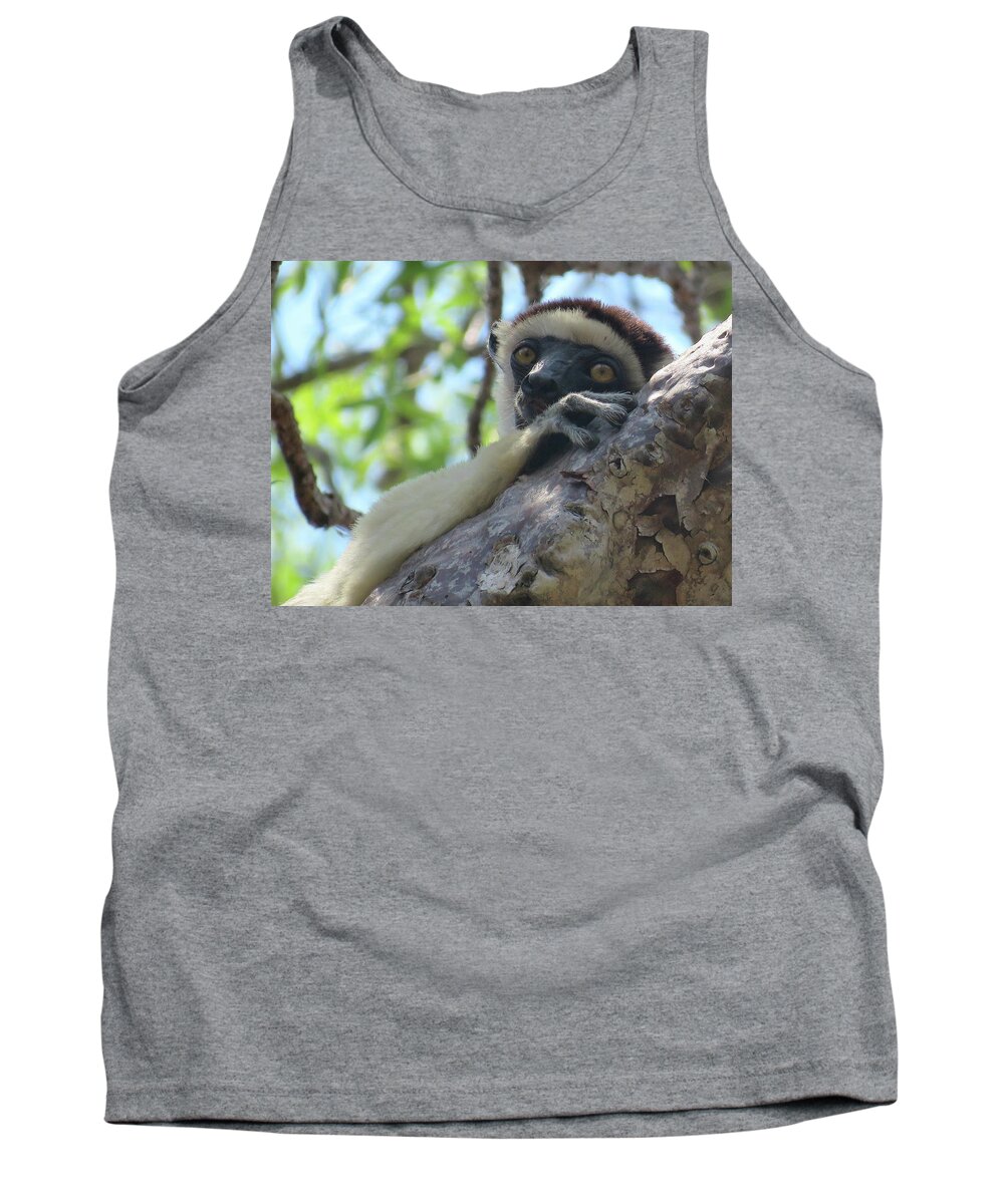  Tank Top featuring the photograph Are you Looking at me? by Eric Pengelly