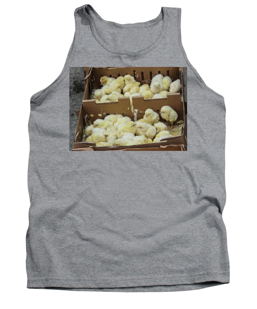 Baby Tank Top featuring the photograph Baby chicks by Steve Estvanik