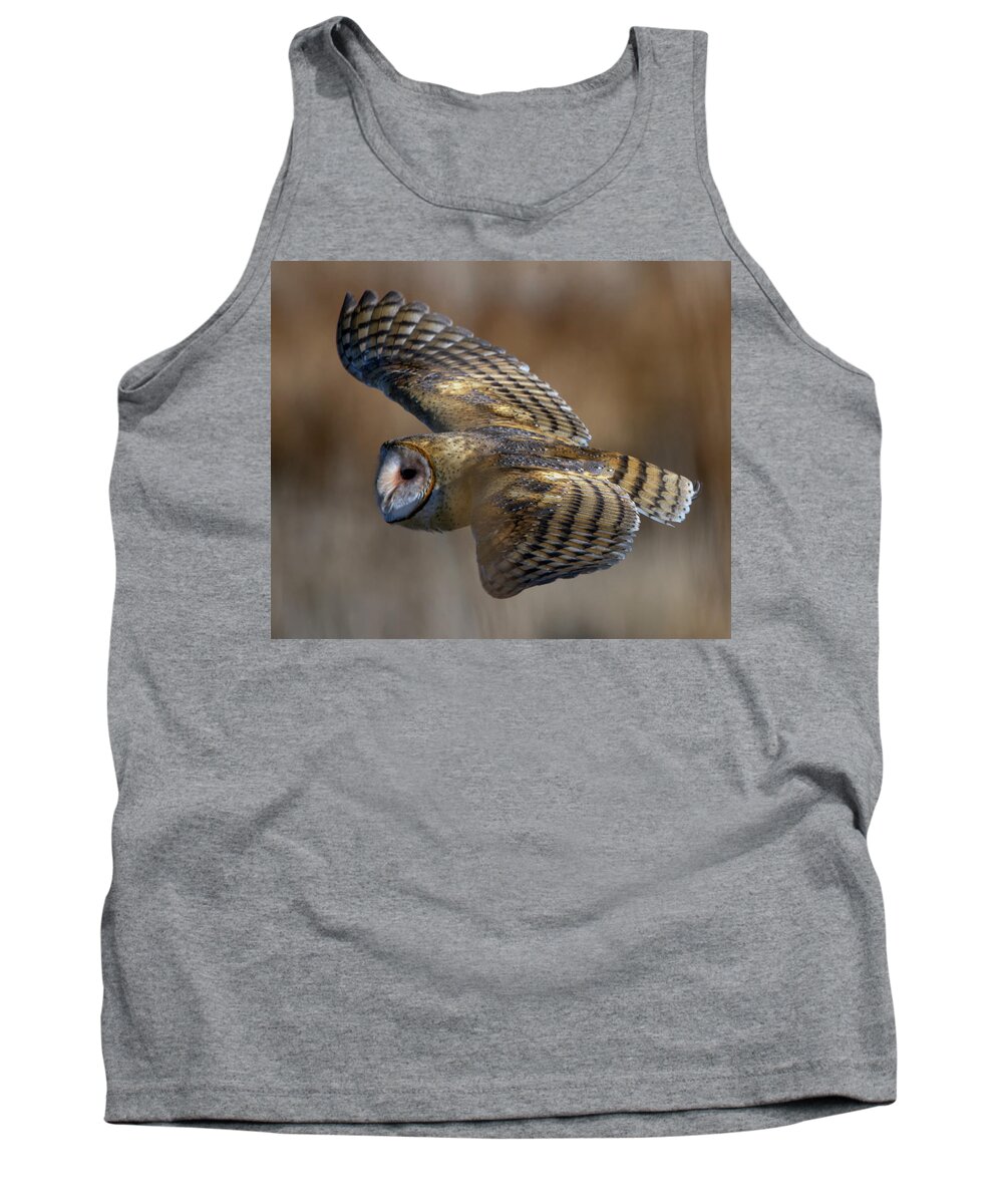 Barn Owl Tank Top featuring the photograph Barn Owl in flight by Rick Mosher