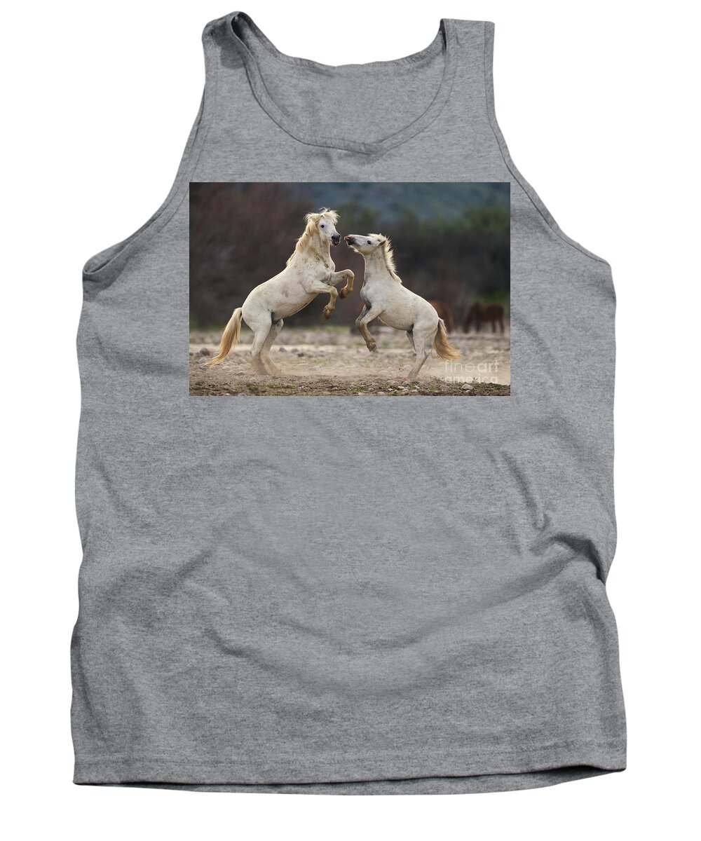 Battle Tank Top featuring the photograph Battling Stallions by Shannon Hastings