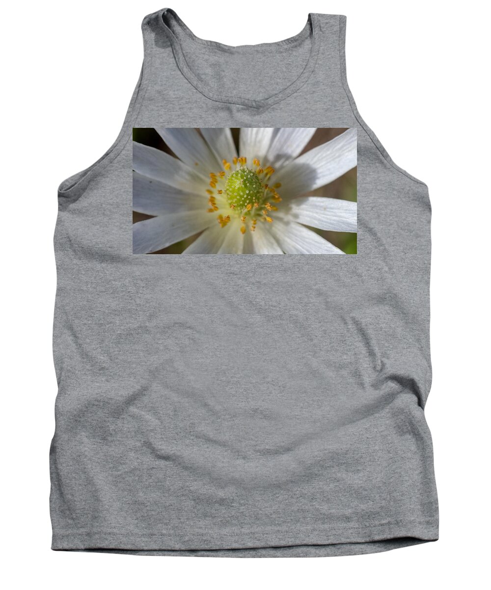 Flower Tank Top featuring the photograph Bee Waiting by Ivars Vilums