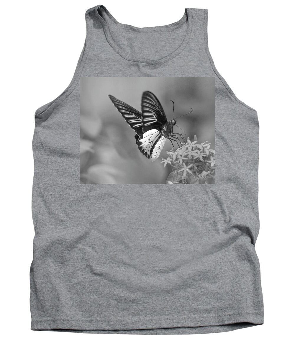 Disk1215 Tank Top featuring the photograph Birdwing Butterfly Feeding by Tim Fitzharris
