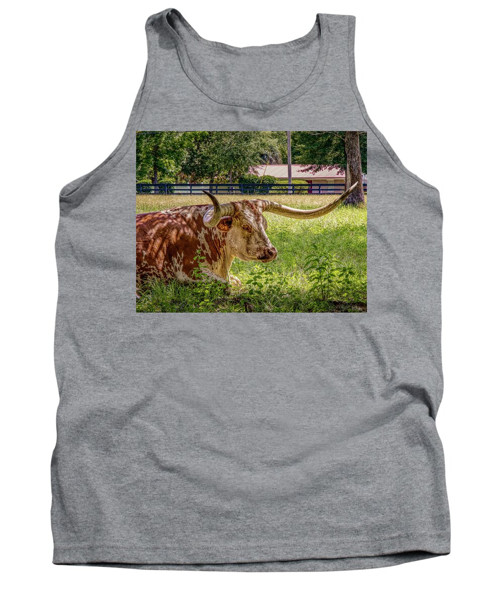 Cow Tank Top featuring the photograph Birthday Cake by JASawyer Imaging