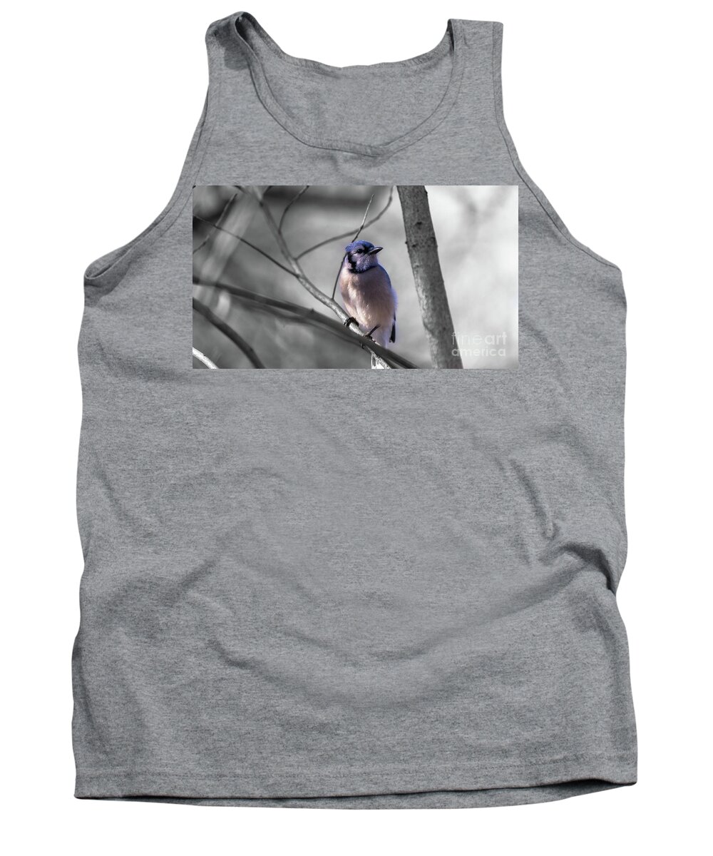  Tank Top featuring the photograph Blue Jay by Dheeraj Mutha