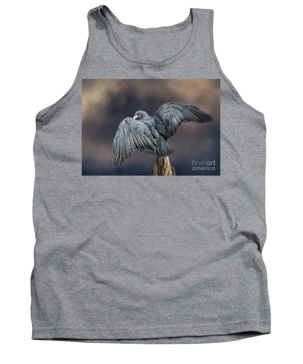 Black-chested Buzzard-eagle Tank Top featuring the mixed media Blue Wings by Eva Lechner