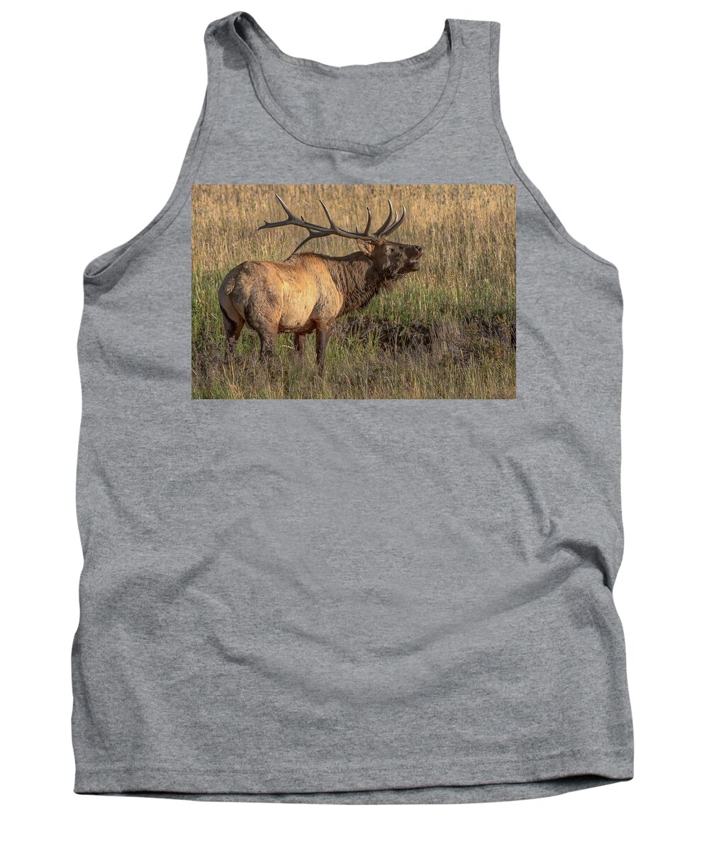 Nature Tank Top featuring the photograph Bugling Bull Elk 7777 by Donald Brown
