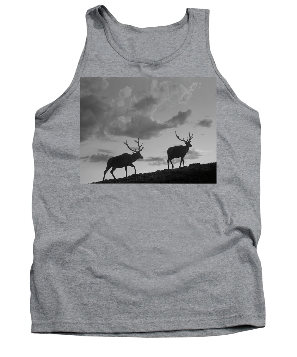Disk1215 Tank Top featuring the photograph Bull Elk Colorado by Tim Fitzharris