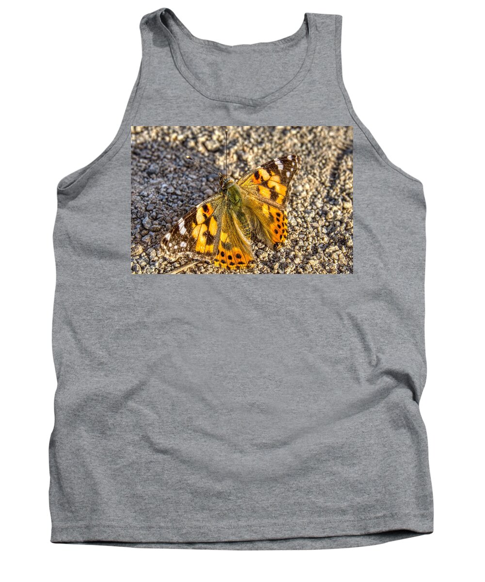 Sunsets Tank Top featuring the photograph Butterfly Beauty by Anthony Giammarino