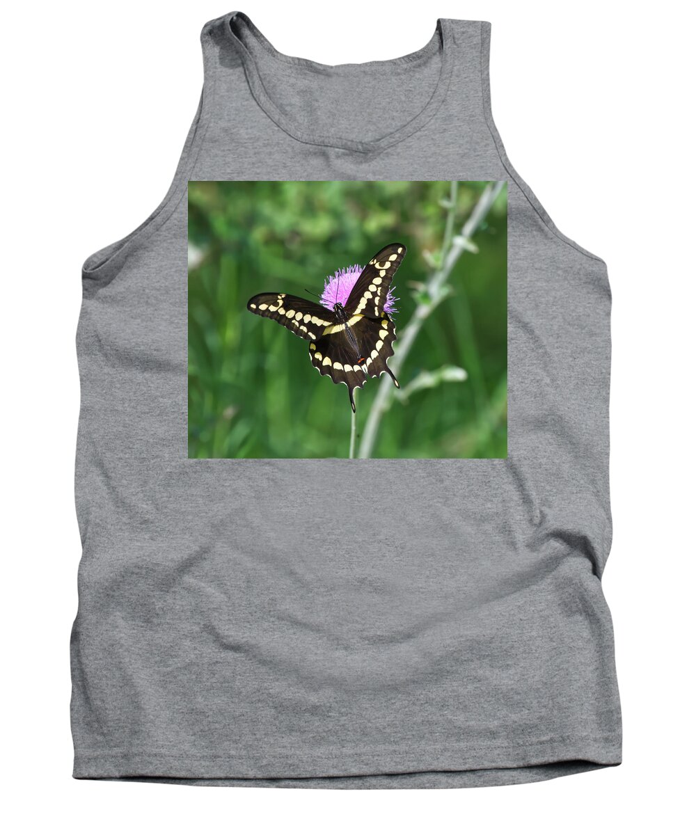 Butterfly Tank Top featuring the photograph Butterfly on Thistle by Ty Husak