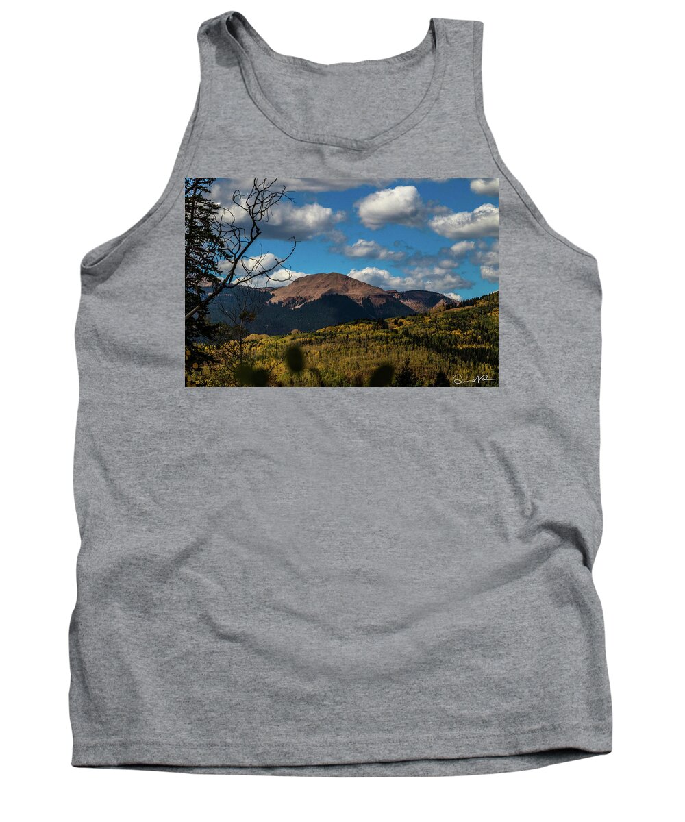 2018 Tank Top featuring the photograph By The Power of Graysill by Dennis Dempsie