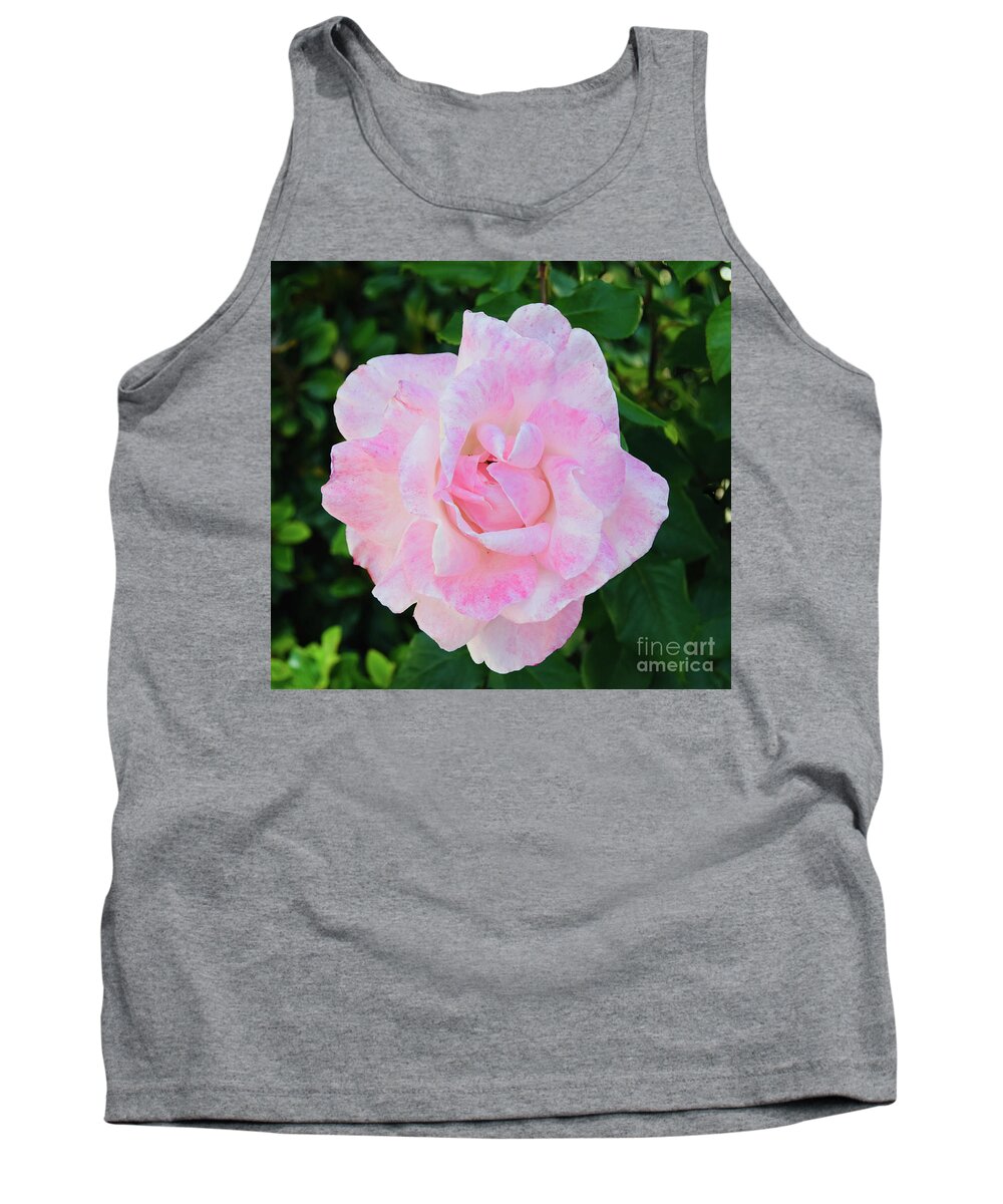 Candy Floss Rose Flower Tank Top featuring the photograph Candy Floss Rose Flower by Abigail Diane Photography