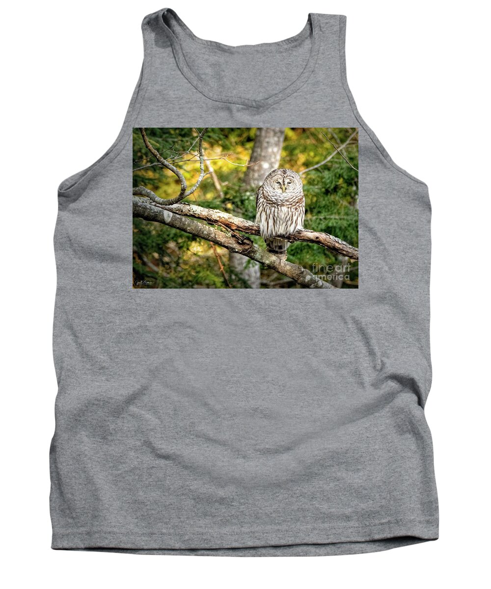 Owl Tank Top featuring the photograph Chilling Out - Owl by Jan Mulherin