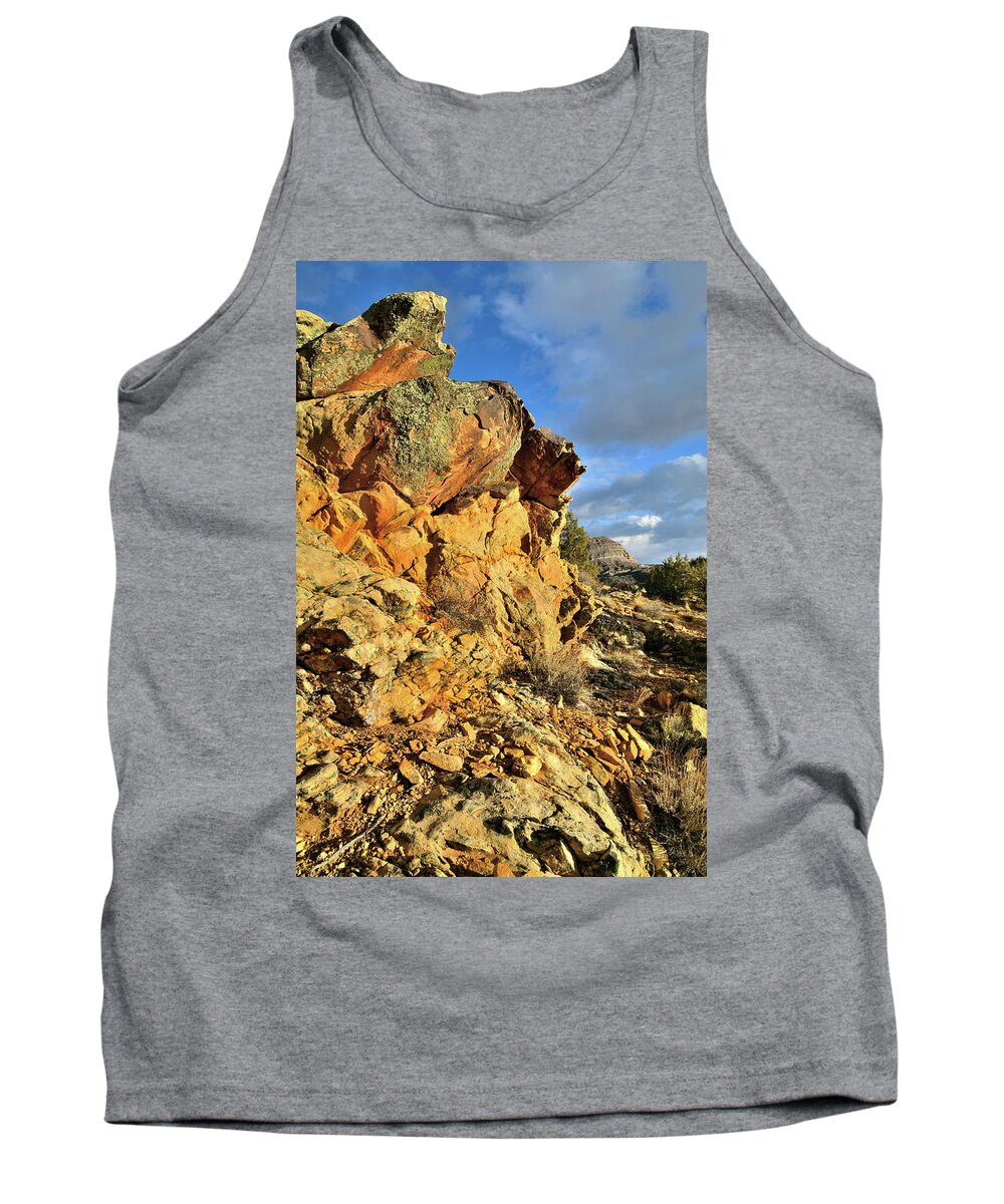 Tank Top featuring the photograph Colorful Crags in Colorado National Monument by Ray Mathis