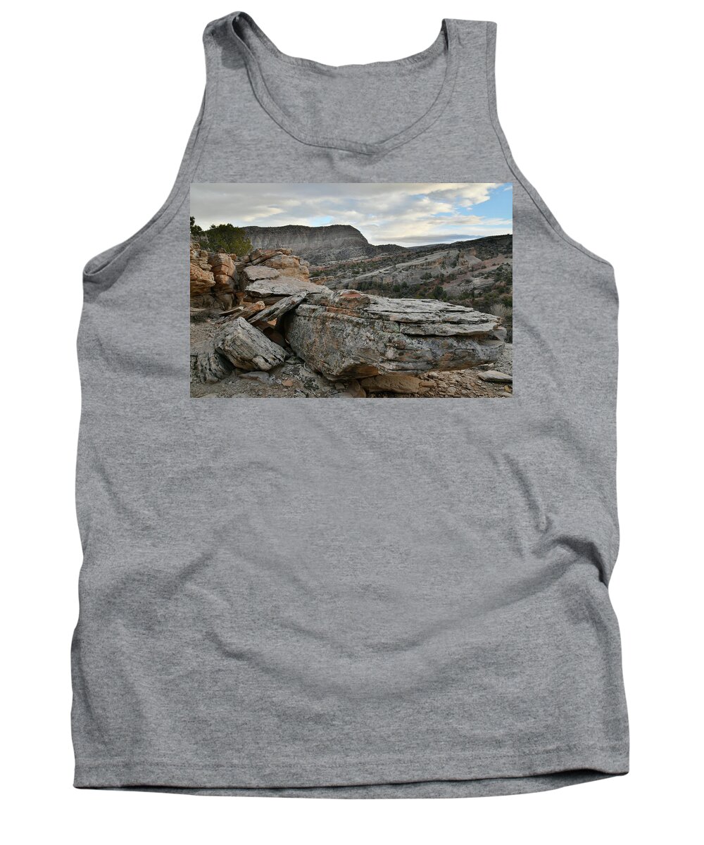 Colorado National Monument Tank Top featuring the photograph Colorful Overhang in Colorado National Monument by Ray Mathis