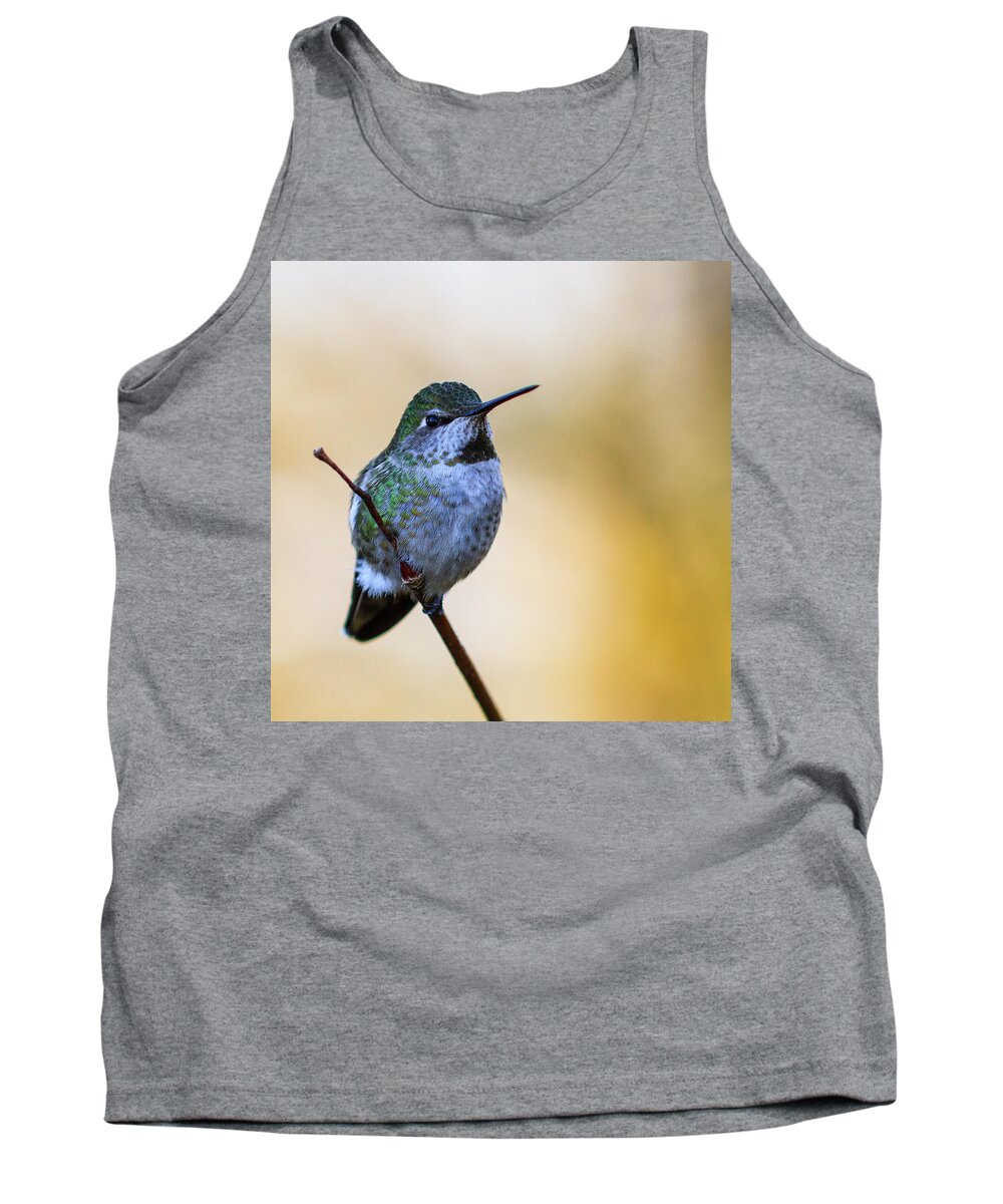 Animal Tank Top featuring the photograph Contemplation by Briand Sanderson