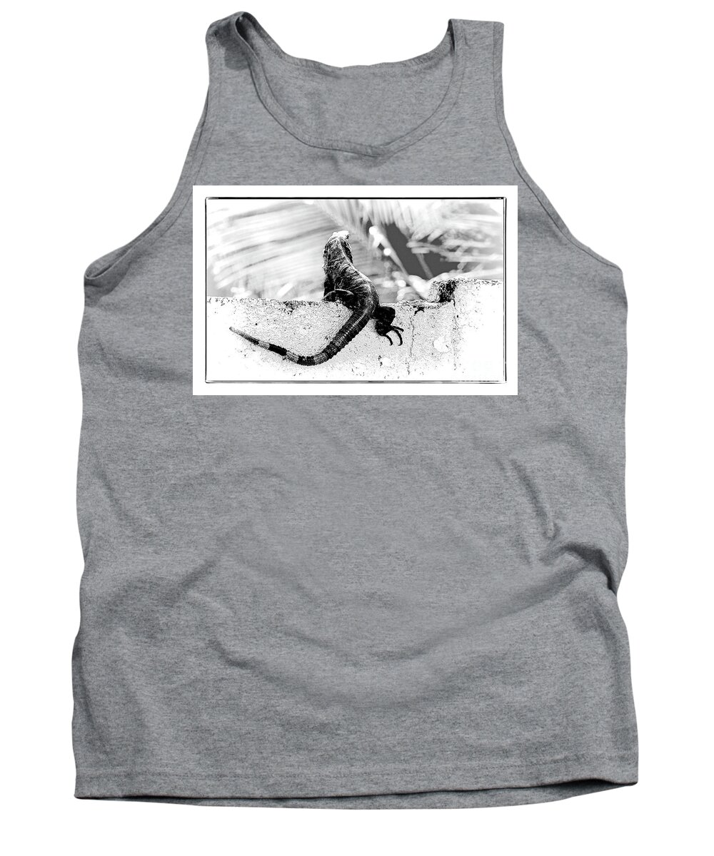 Mexico Tank Top featuring the photograph Cozumel Wildlife by Lenore Locken